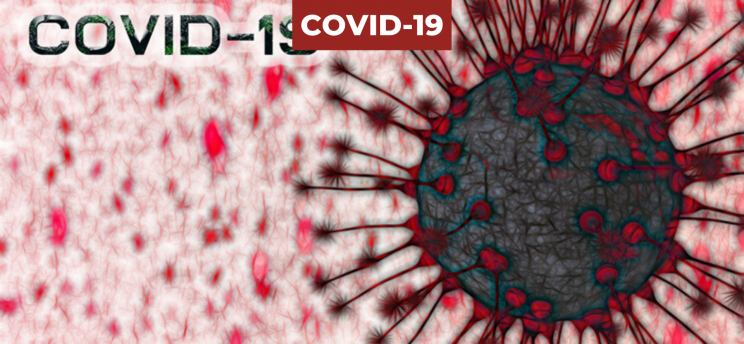 Coronavirus/Covid-19